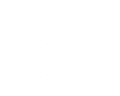 Vela Turtle