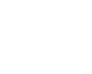 Vela Turtle